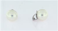 Orecchini Forever Gioielli Donna Orecchini Perla in Argento Perla FGOR00301 - FGOR00301